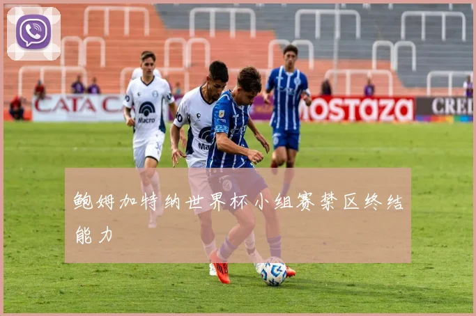 鲍姆加特纳世界杯小组赛禁区终结能力