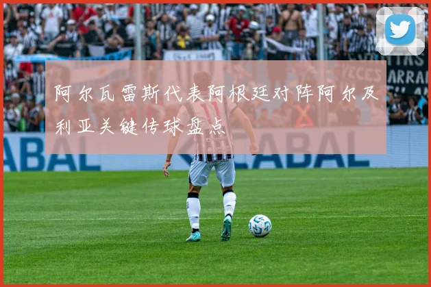 阿尔瓦雷斯代表阿根廷对阵阿尔及利亚关键传球盘点