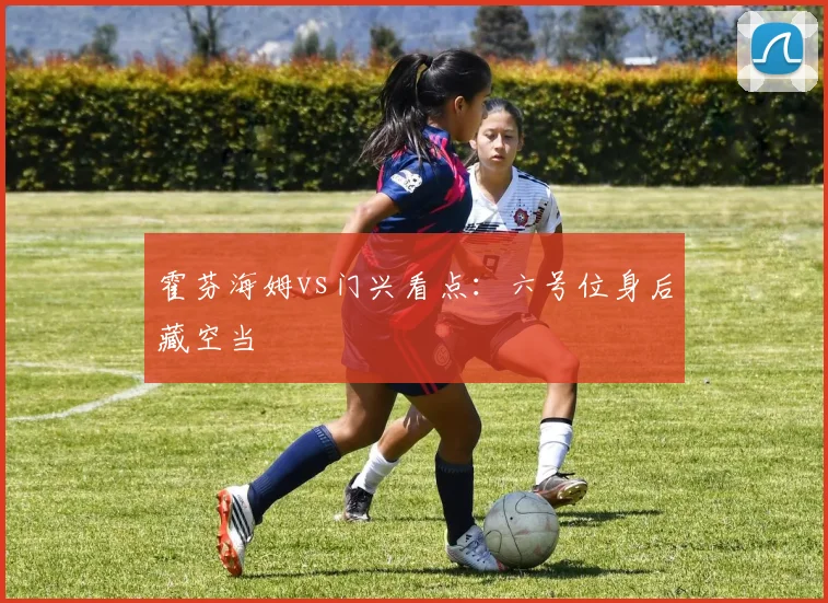 霍芬海姆vs门兴看点:六号位身后藏空当